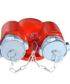 Họng tiếp nước chữa cháy