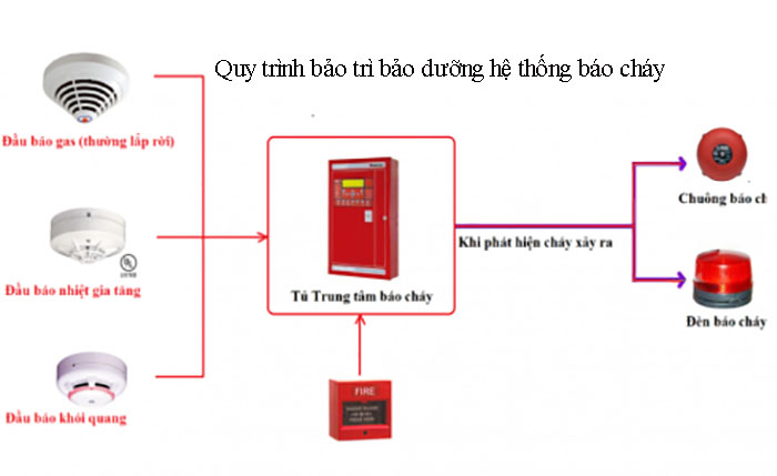 Quy trình bảo trì bảo dưỡng hệ thống báo cháy