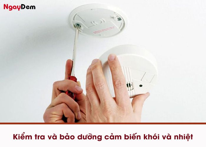 Bảo trì pccc chung cư 