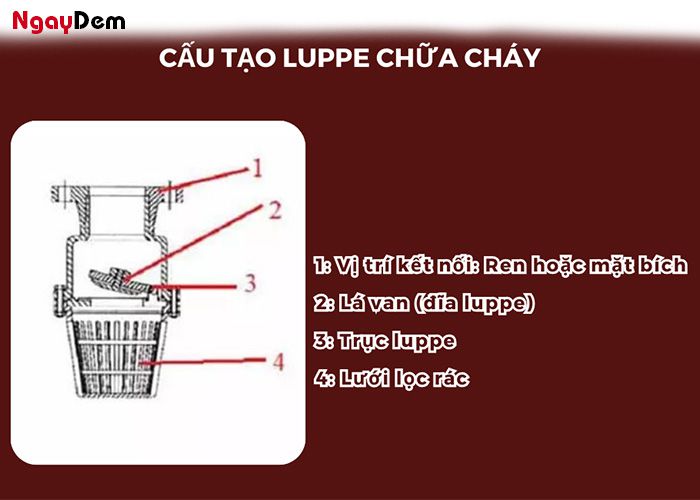 Cấu tạo chung của luppe chữa cháy