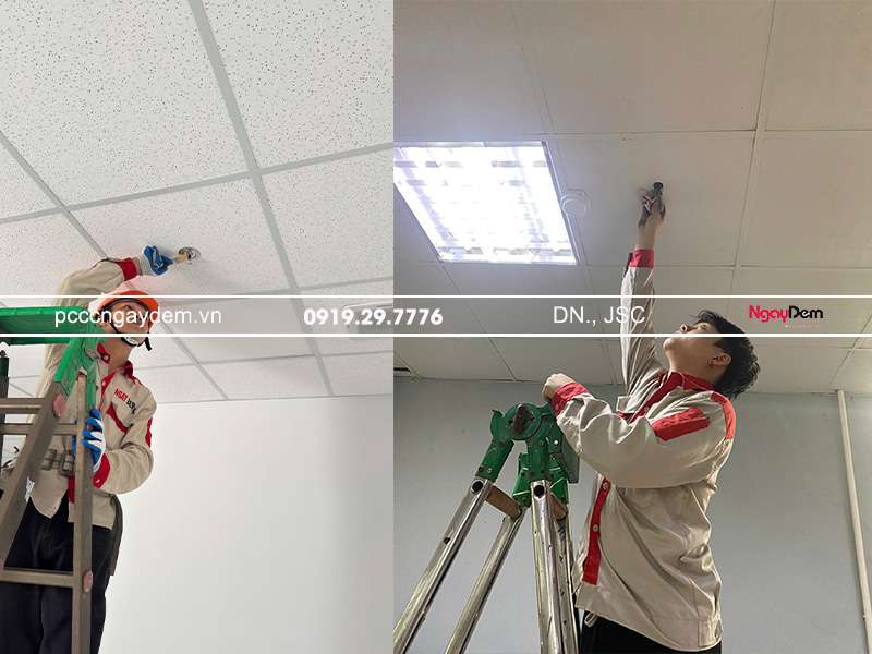 Hướng dẫn cách lắp đặt đầu phun sprinkler hiệu quả lắp đặt đầu phun sprinkler