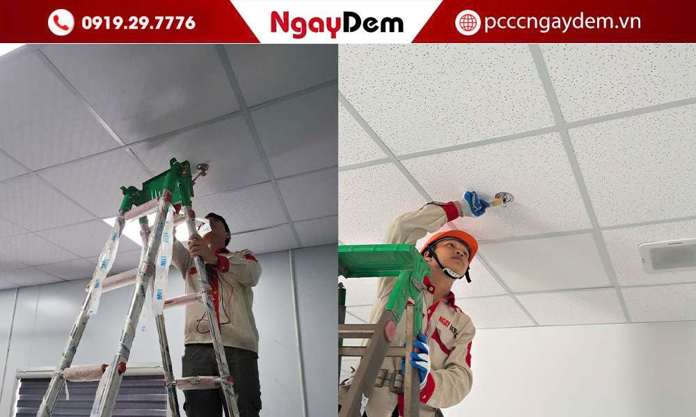 lắp đặt đầu phun sprinkler