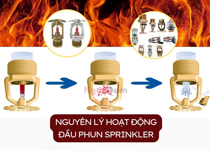 Nguyên lý hoạt động của đầu phun Sprinkler