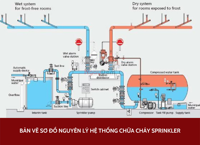 Bản vẽ sơ đồ hệ thống PCCC Sprinkler