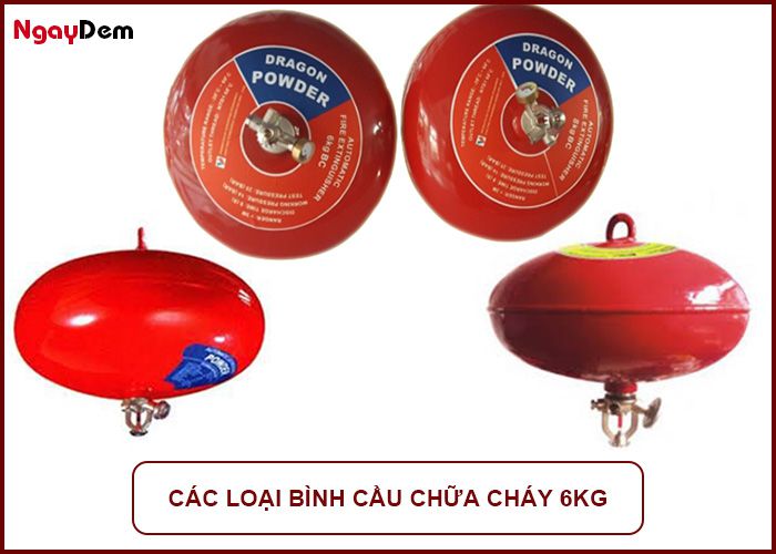 Các loại bình cầu chữa cháy 6Kg