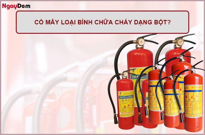 Có mấy loại bình chữa cháy dạng bột hiện nay