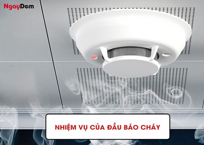 Nhiệm vụ của đầu báo cháy tự động