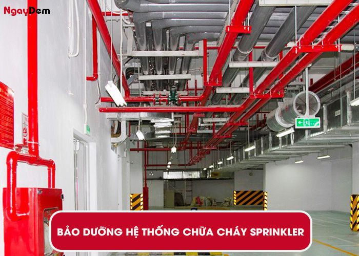 Bảo dưỡng PCCC - hệ thống chữa cháy tự động Sprinkler