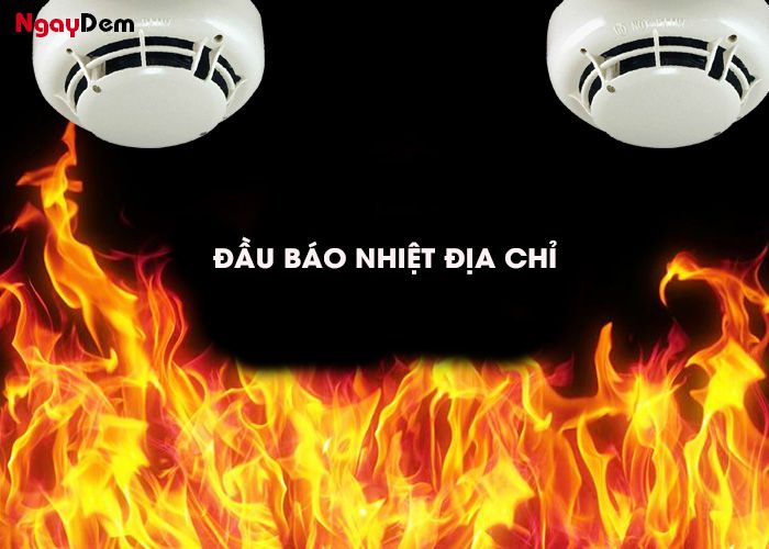 Khái niệm về đầu báo nhiệt địa chỉ