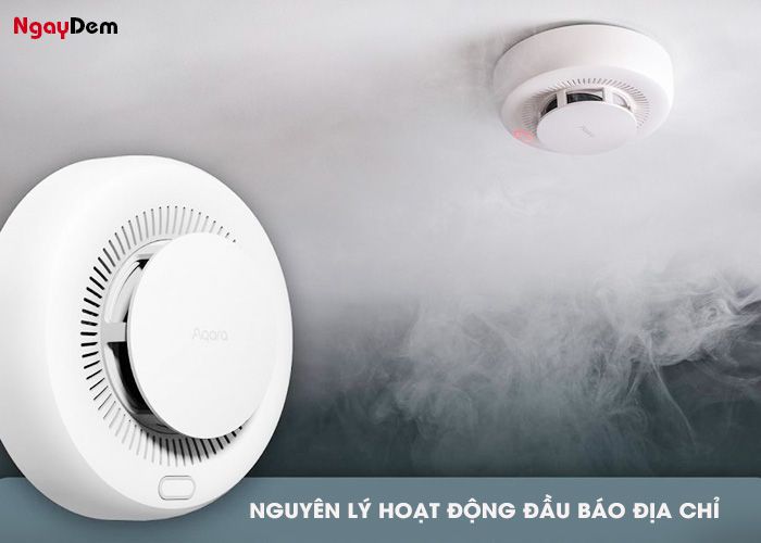 Nguyên lý hoạt động của đầu báo địa chỉ