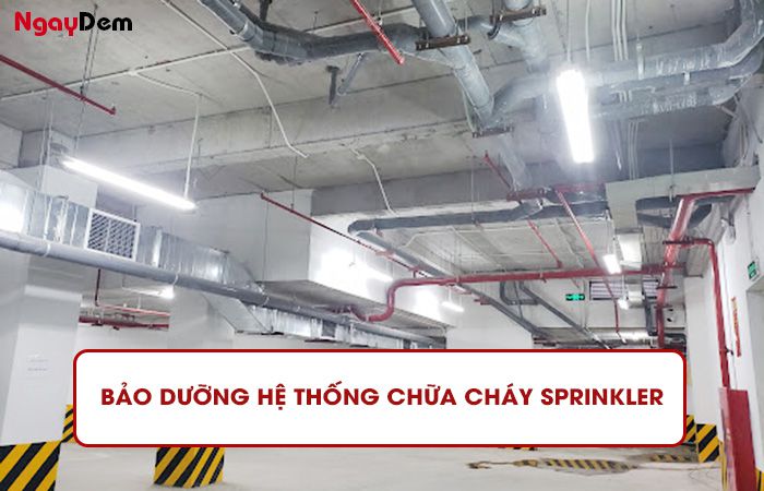 Quy trình bảo dưỡng hệ thống PCCC Sprinkler