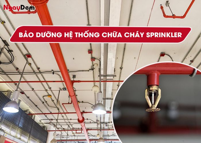 Bảo dưỡng hệ thống PCCC tại Hà Nam - chữa cháy Sprinkler