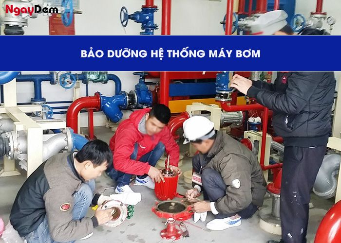 Bảo dưỡng PCCC tại Nghệ An - hệ thống máy bơm