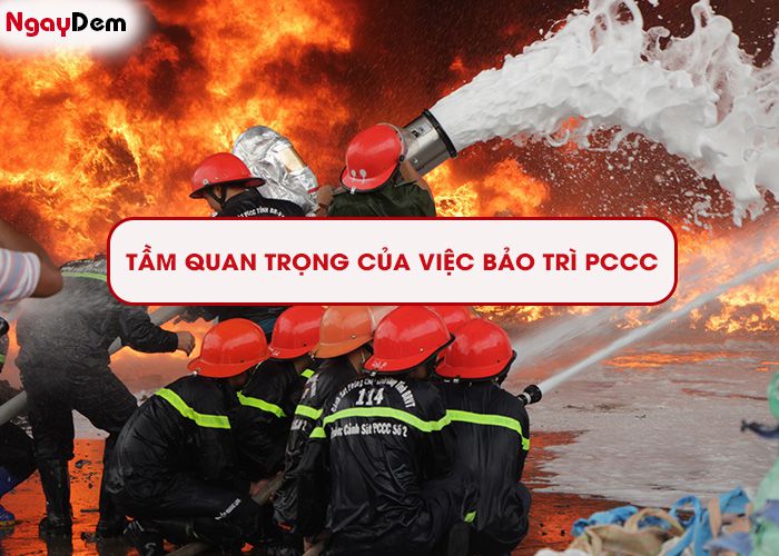Tầm quan trọng của việc bảo trì PCCC tại Đà Nẵng