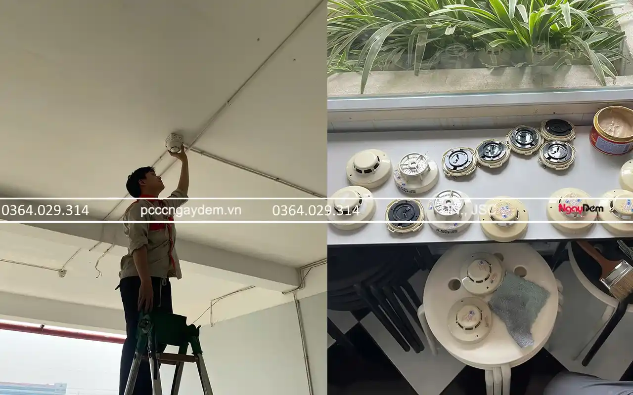 Dự án bảo trì PCCC cho trường mầm non Sakura Kids Thanh Hà