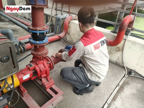 Rà soát toàn bộ hệ thống