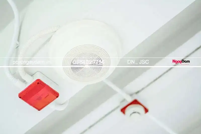 Kiểm tra toàn bộ hệ thống đầu báo cháy, báo khói 