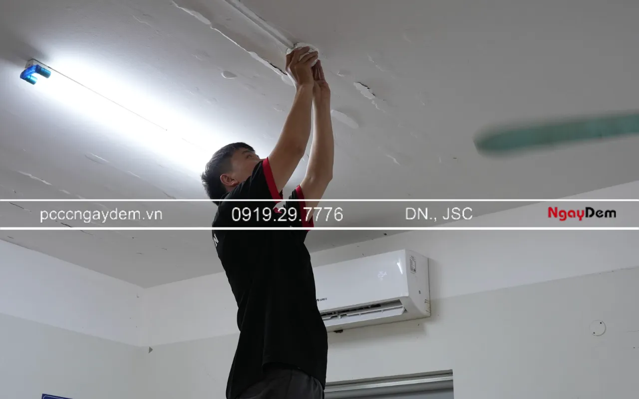 bảo dưỡng PCCC định kì mầm non newton