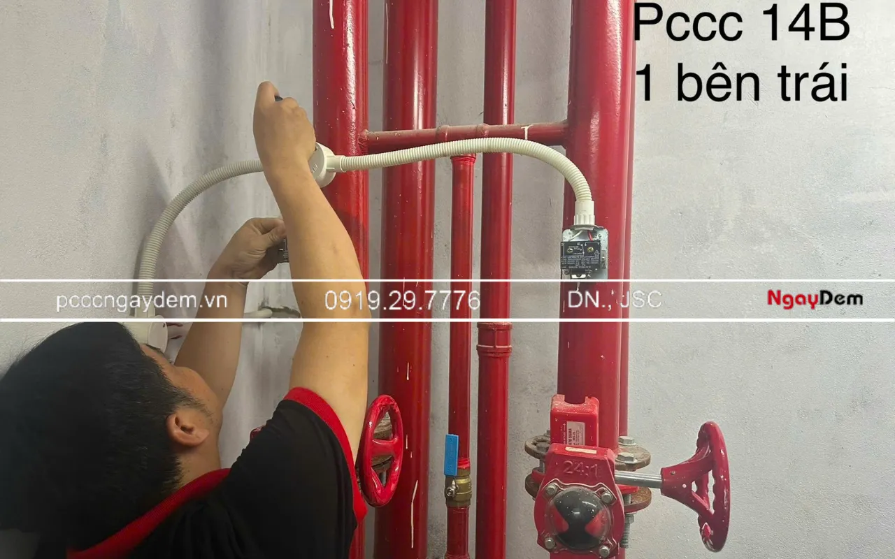 Dự án Thi công hệ thống PCCC cho Chung cư Tecco Diamond
