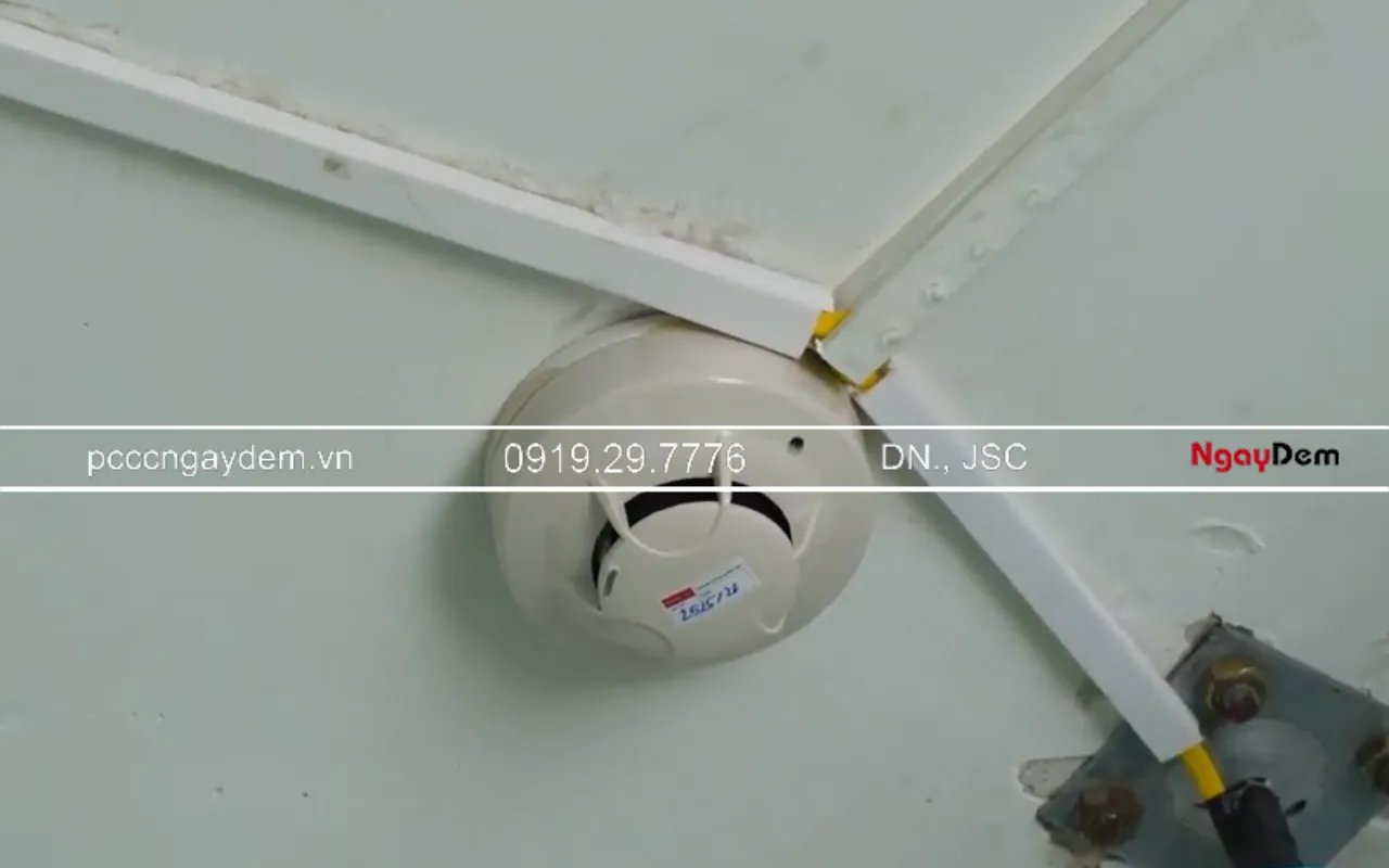 Dự án Bảo dưỡng PCCC cho Trường Mầm non Newton