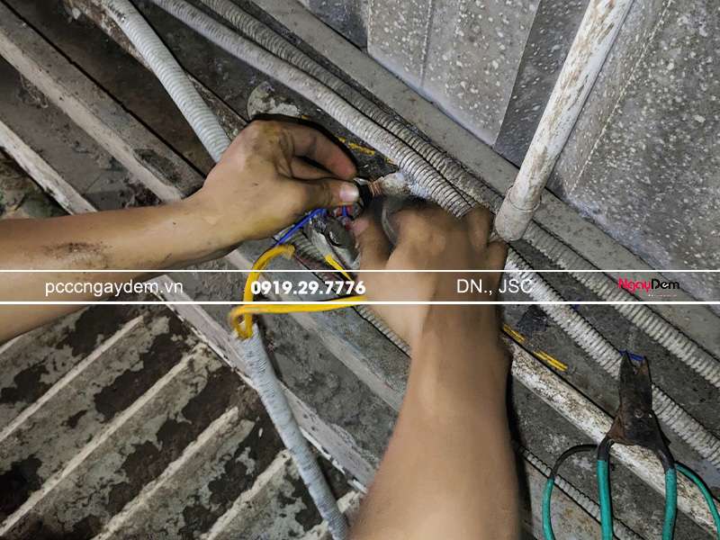 Hiện trang tuyến dây tín hiệu của hệ thống PCCC bị đứt Bảo trì hệ thống PCCC nhà máy Agrifeed Việt Nam