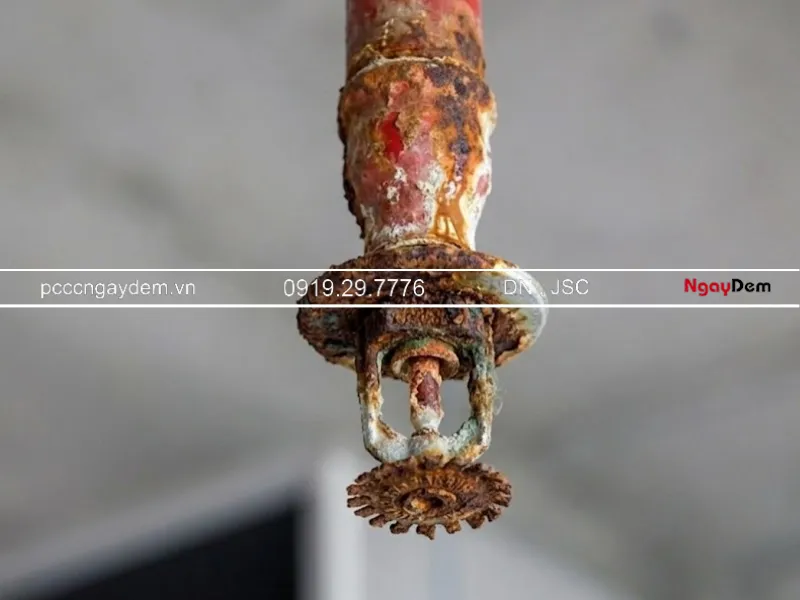 liên hệ PCCC Ngày Đêm bảo dưỡng tại Phú Xuyên ngay lập tức khi đầu sprinkler bị rỉ sét