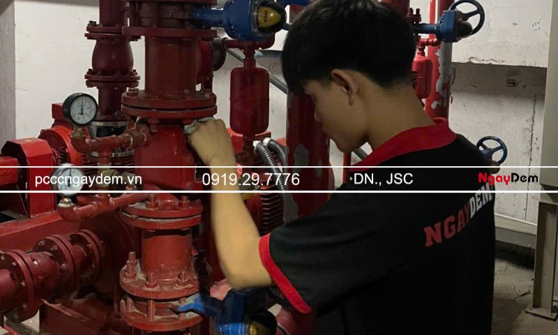 Máy bơm phát tiếng ồn, rung hoặc rò nước
