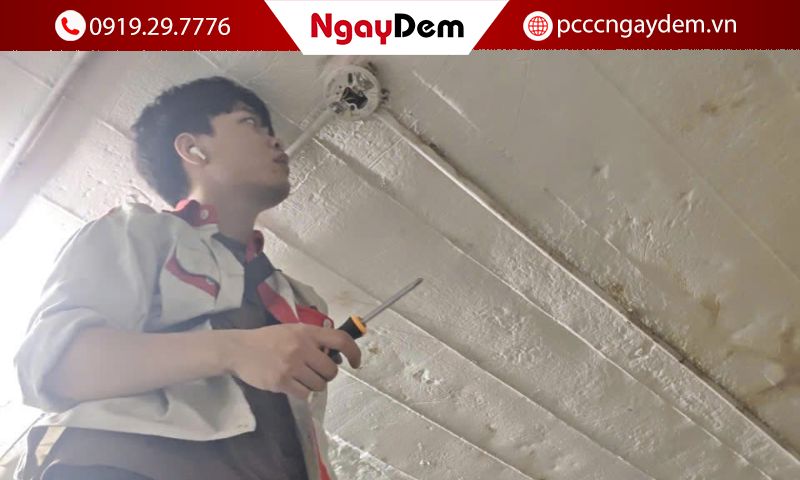Tiêu chuẩn vàng trong thiết kế hệ thống thoát hiểm an toàn