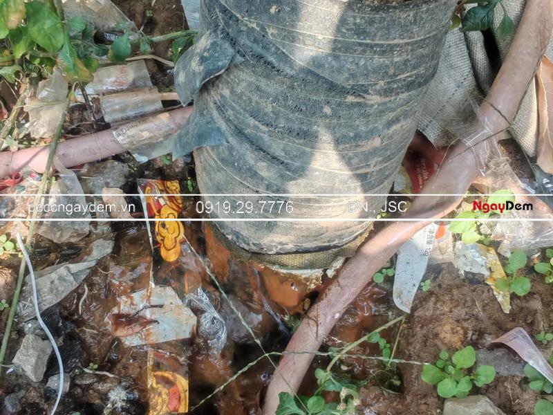 Sửa chữa hệ thống PCCC Chung Cư Newlife Hạ Long, Quảng Ninh